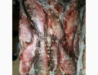 Продам красноперку
