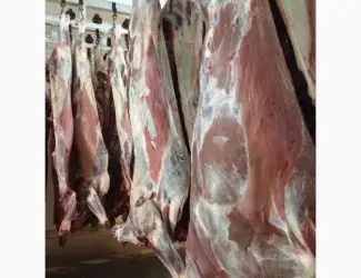 Зображення для оголошення СРОЧНО продам от производителя говядину и свинину на экспорт внутренний рынок с 20 тонн