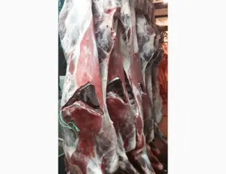 Зображення для оголошення ПрАТ АГРО-ПРОДУКТ продає охолоджене мясо на кості та кускове мясо бика і корови