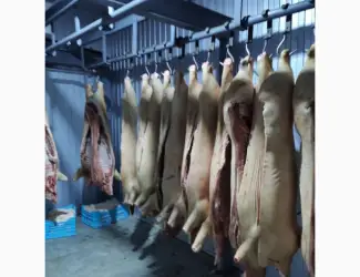 Продам убойный цех