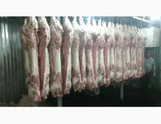 Зображення для оголошення Мясо Свіже Охолоджене в пів тушках