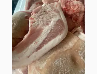 Зображення для оголошення Продам баки свині