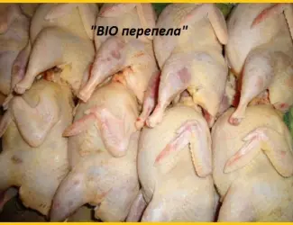 Мясо перепела BIO оптом