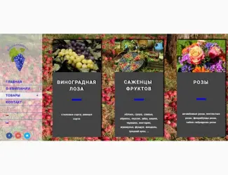 Зображення для оголошення Фруктовые саженцы