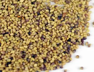 Зображення для оголошення Продам Клевер красный