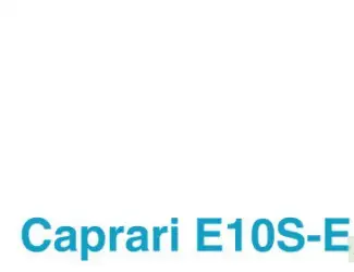 Насосы скважинные погружные Caprari E20S - E22S