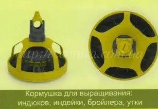 Зображення для оголошення Линия кормления Италия
