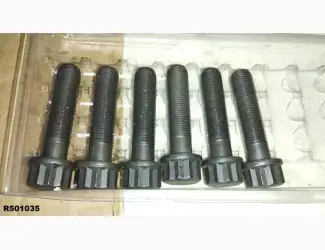 Зображення для оголошення Болт кришки шатуна - R501035
