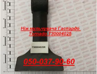Зображення для оголошення Ніж мульчувача Гаспардо Tornado T30004025 Оригінал Ніж мульчувача прямий