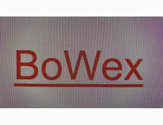 Муфта Bowex 48B FLE-PA