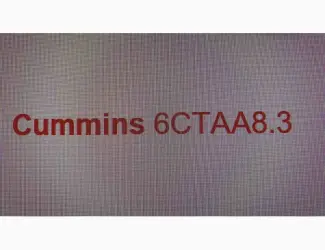Запчастини двигуна Cummins 6CTAA8.3
