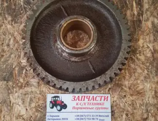 Зображення для оголошення Шестерня МТЗ распредвала паразитка(промежуточная) 240-100624