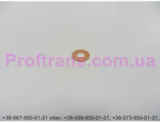 5003062049, 6.33090 Шайба под форсунку RENAULT PREMIUM V9, 8, V11.1