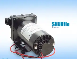 Зображення для оголошення Диафрагменный насос Shurflo 5059-1310-D011 12 В