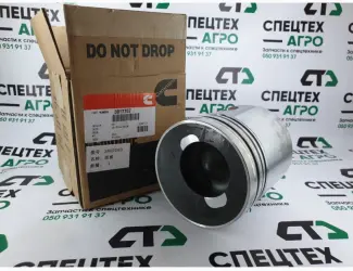 Зображення для оголошення Поршень Cummins 6CT