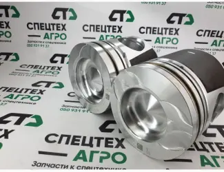 Зображення для оголошення Поршень WD618 61800030042