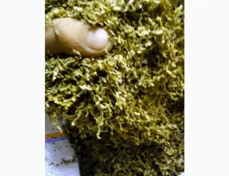 Зображення для оголошення Много сортов сигаретная порезка и лапша
