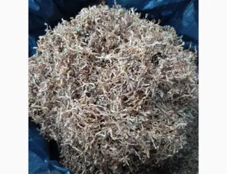Зображення для оголошення Продам табак Европейского качества!!!! Разных сортов для гильз и самокруток!!!низкая цена