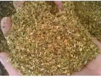 Куплю Махорку зелену