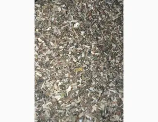 Куплю Махорку і різаний