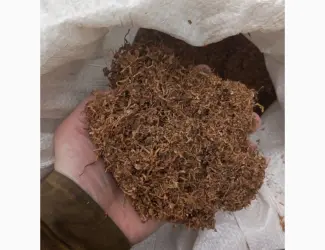Куплю табак різаний лапшою