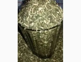 Зображення для оголошення Куплю у вас САМОСАД-МАХОРКУ ! любий куплю САМОСАД