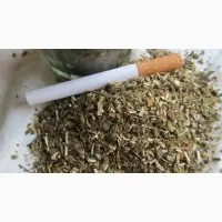 Зображення для оголошення Куплю самосад махорка тютюн оптом