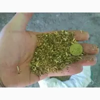 Зображення для оголошення Куплю махорку САМОСАД оптом
