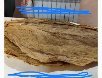 Зображення для оголошення Табачный лист - сухий