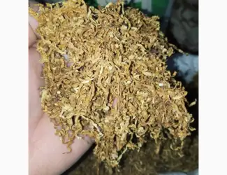 Хароший табак сільський український самосад