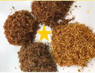 Табак і Махорка бакун