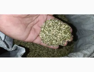 Зображення для оголошення Продам хороший табак тютюн махорку самосад оптом( 2026))
