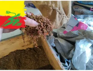 Табак ВІРДЖІНІЯ