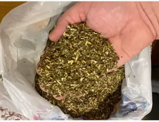 Зображення для оголошення Продам махорку