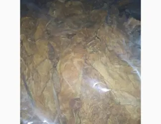 Зображення для оголошення Продам табак