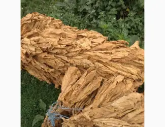 Продам крепкий табак Венгерский