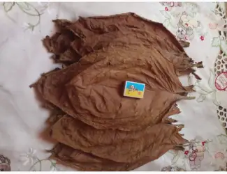 Продам тютюн хлопя