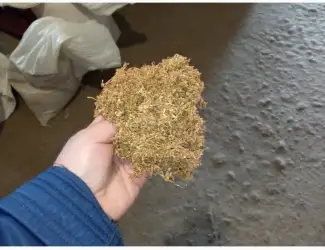 Тютюн сам продам Берлі