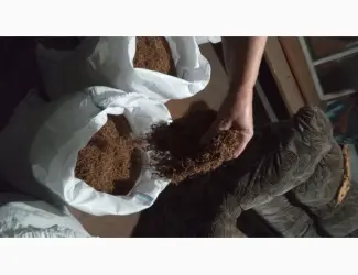 Зображення для оголошення Продам тютюн Берлей