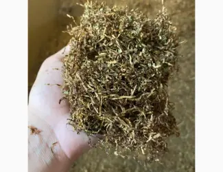 Зображення для оголошення Імпортний табак. БЕРЛІ Вірджинія, Золоте руно, самосад