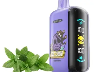Зображення для оголошення POD система ELF BAR 23000 тяг 5%, Пурпурна Мята