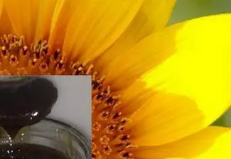 Зображення для оголошення Куплю фуз подсолнечного масла в любых объемах