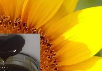 Зображення для оголошення Покупаем фуз подсолнечный соевый