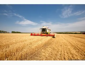 Зображення для оголошення Услуги уборки урожая по Украине комбайнами