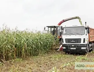 Зображення для оголошення Уборка сенажа сена соломы уборка кукурузы на силос по Украине