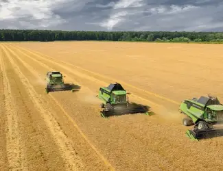Зображення для оголошення Уборка кукурузы сои подсолнечника соняшника льна Черкассы Ватутино Городище Драбов