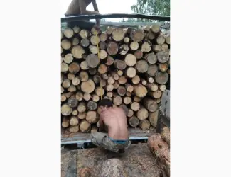 Дрова Буча