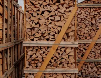 Зображення для оголошення Kaminholz Buche Ukraine