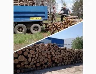 Дрова сухие колотые