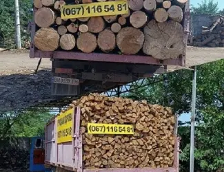 Продам дубовые и березовые дрова Одесса